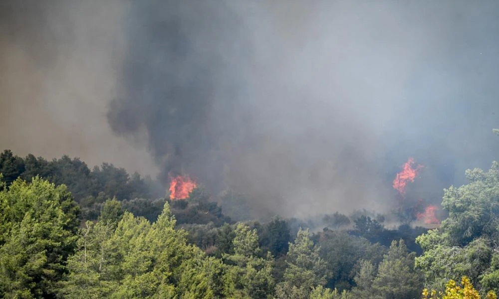 Χανιά: Μάχη με τις φλόγες στο Έλος Κισσάμου – Ενισχύθηκαν οι πυροσβεστικές δυνάμεις